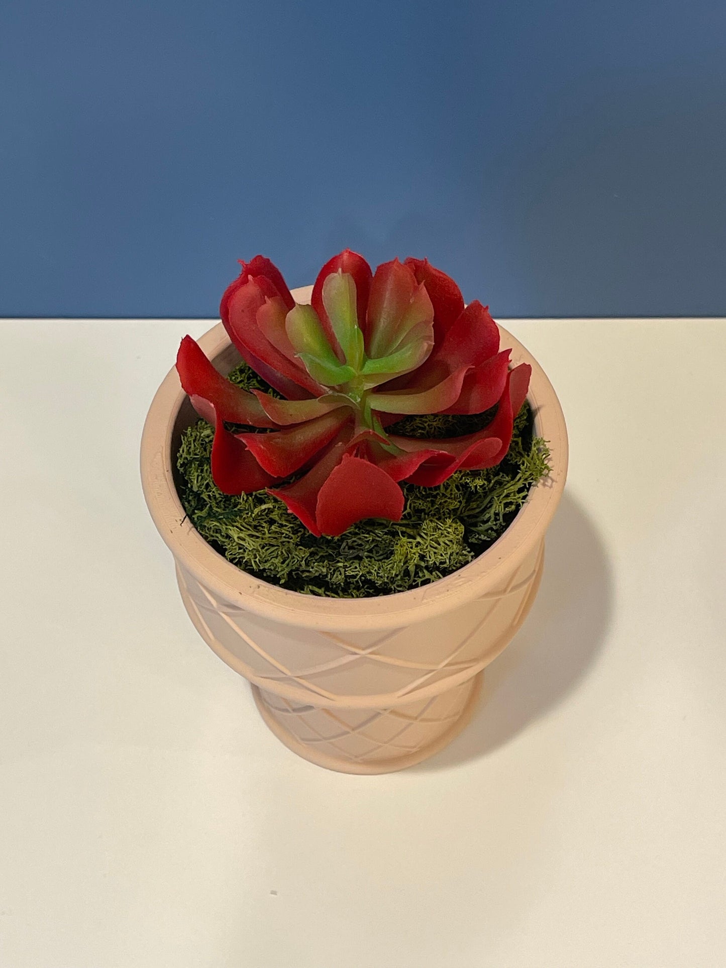 Ice Cream Cone Planter | Indoor Garden | Succulent Plants | Food Planter
