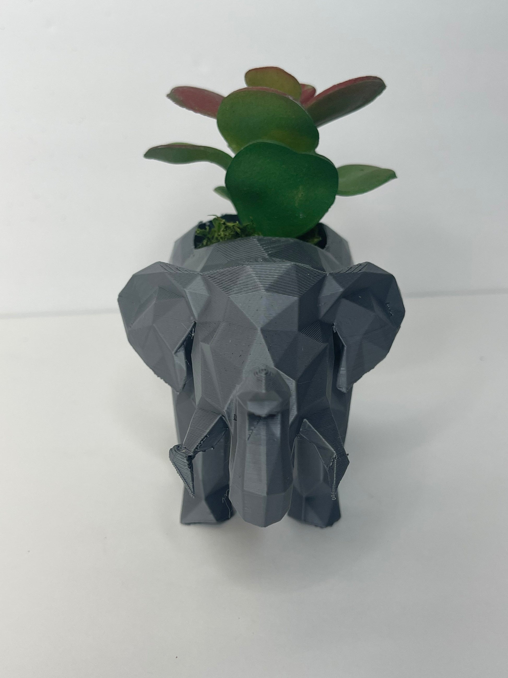 Elephant Planter