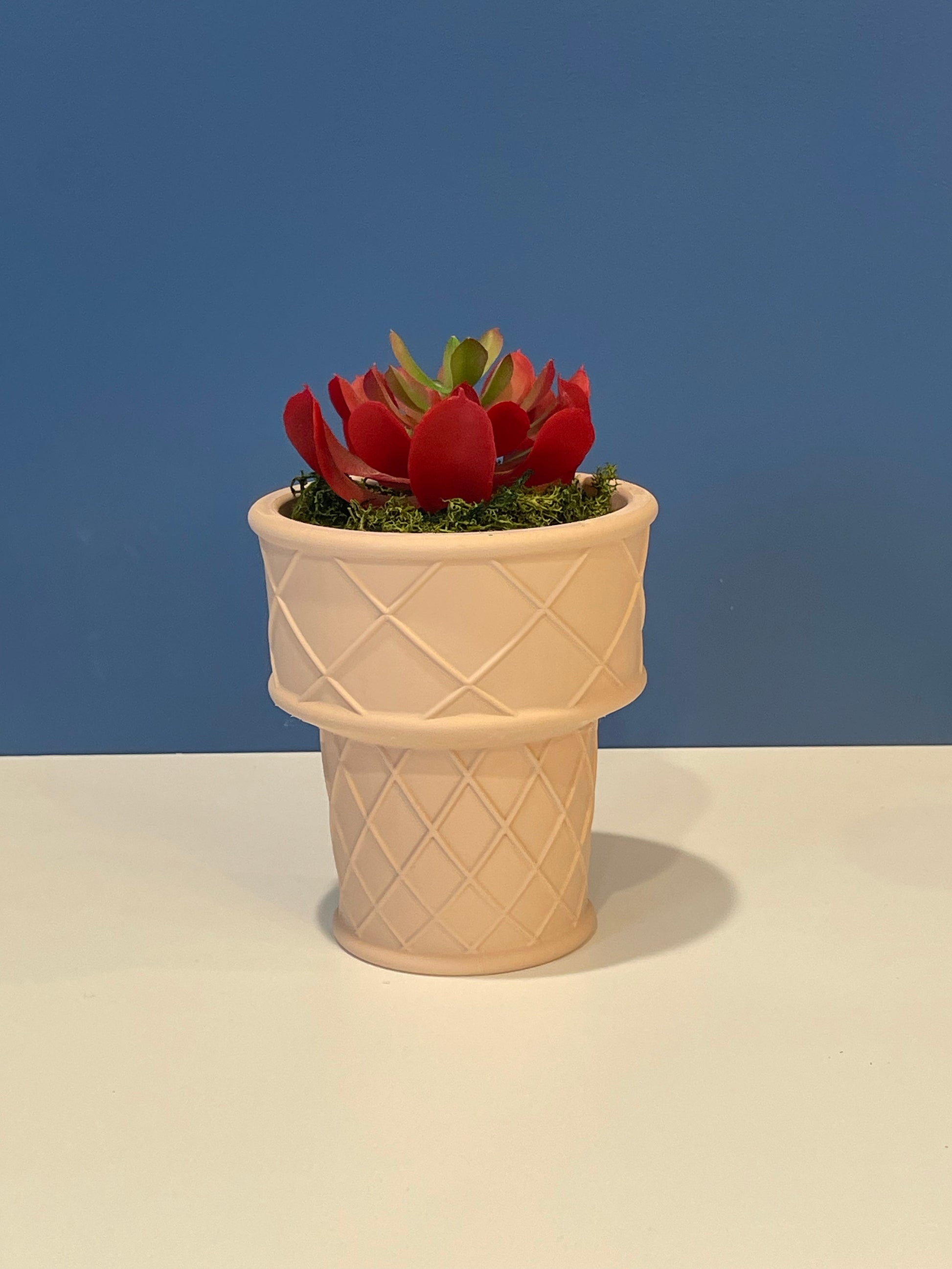 Ice Cream Cone Planter | Indoor Garden | Succulent Plants | Food Planter