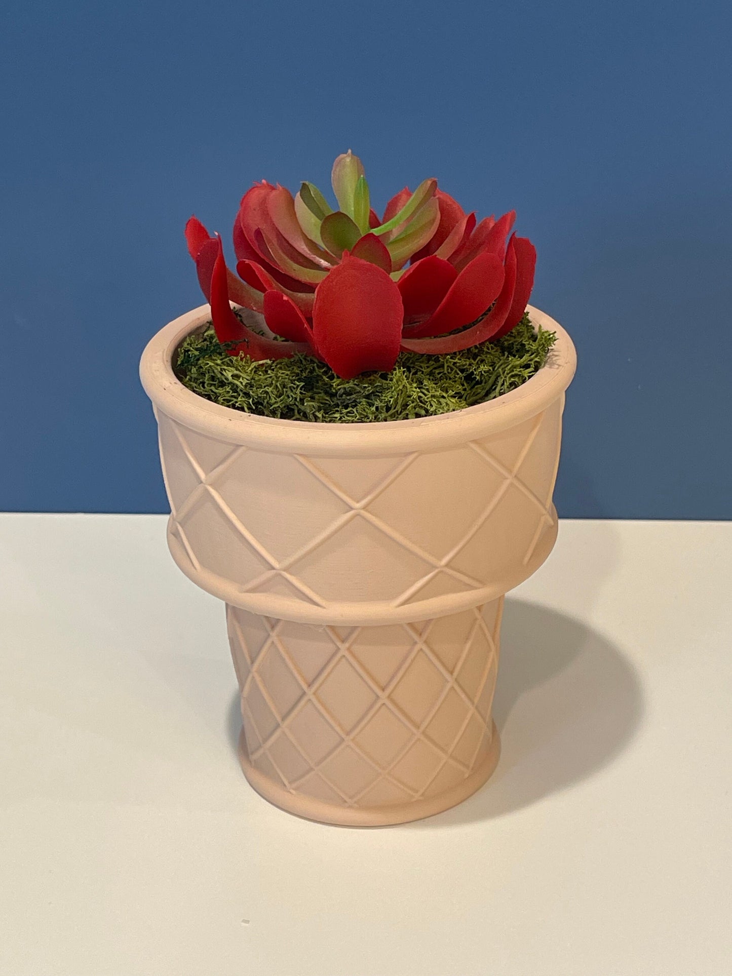 Ice Cream Cone Planter | Indoor Garden | Succulent Plants | Food Planter