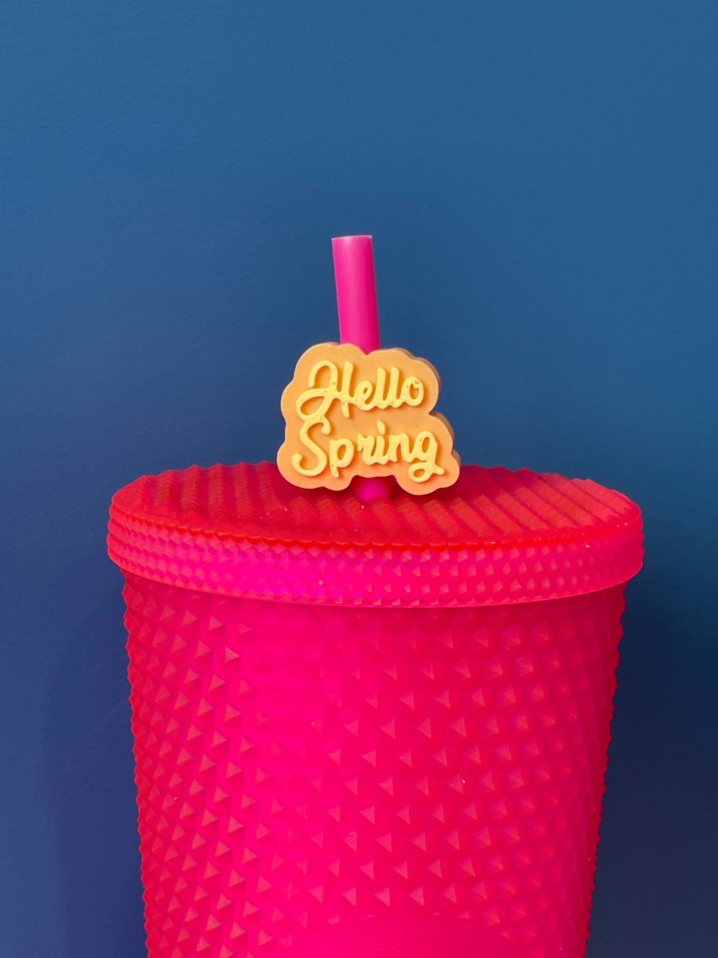 Hello Spring Straw Topper | Stanley| Springtime