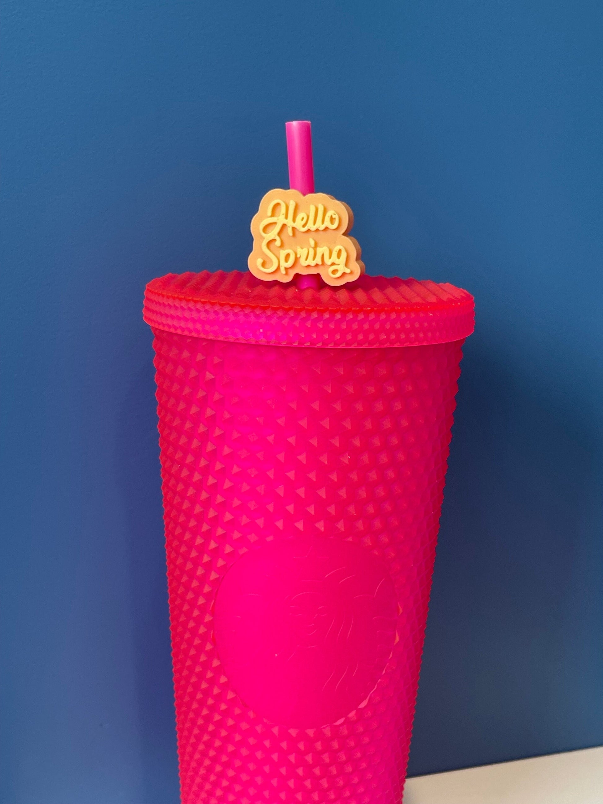 Hello Spring Straw Topper | Stanley| Springtime