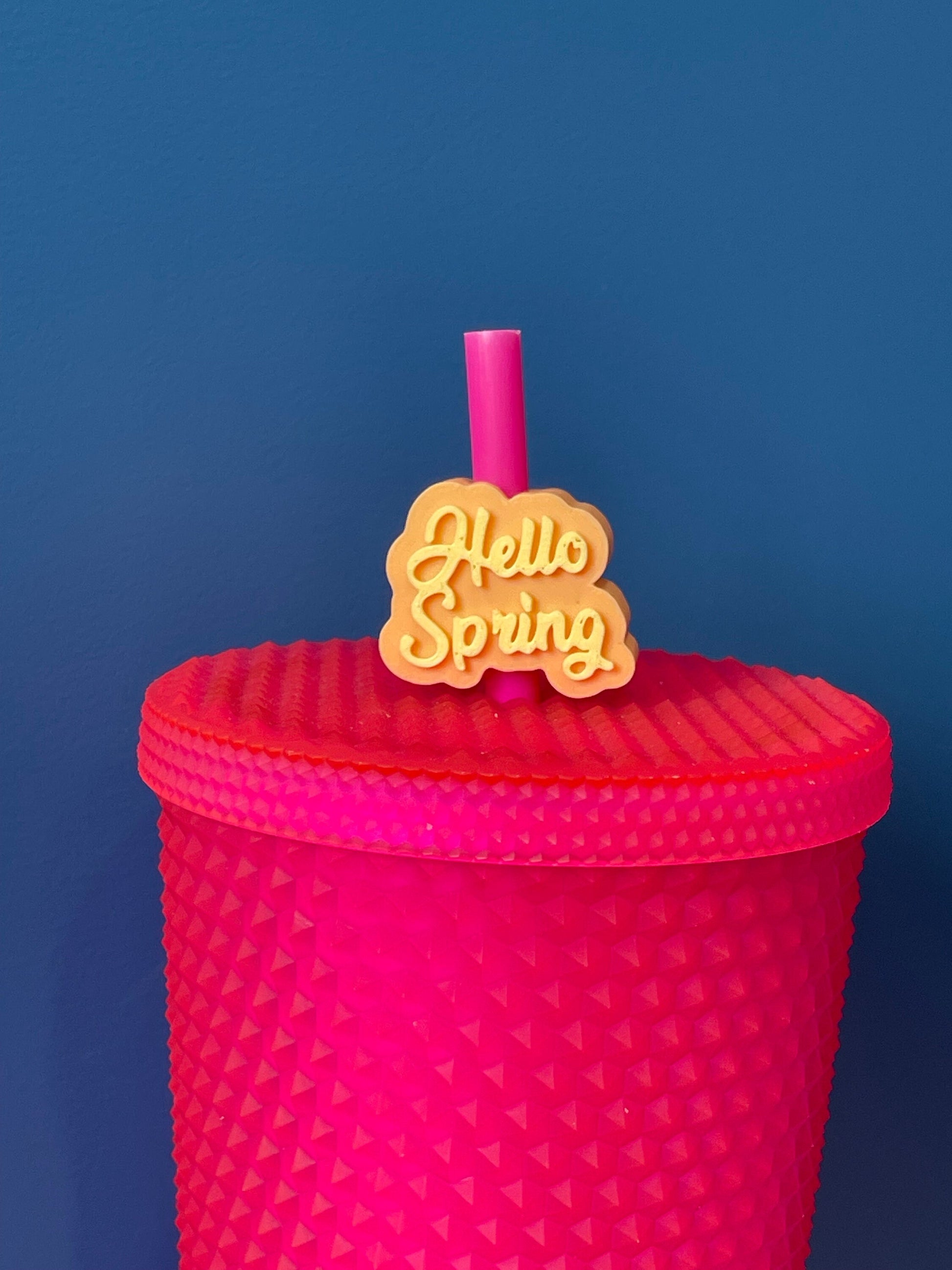 Hello Spring Straw Topper | Stanley| Springtime