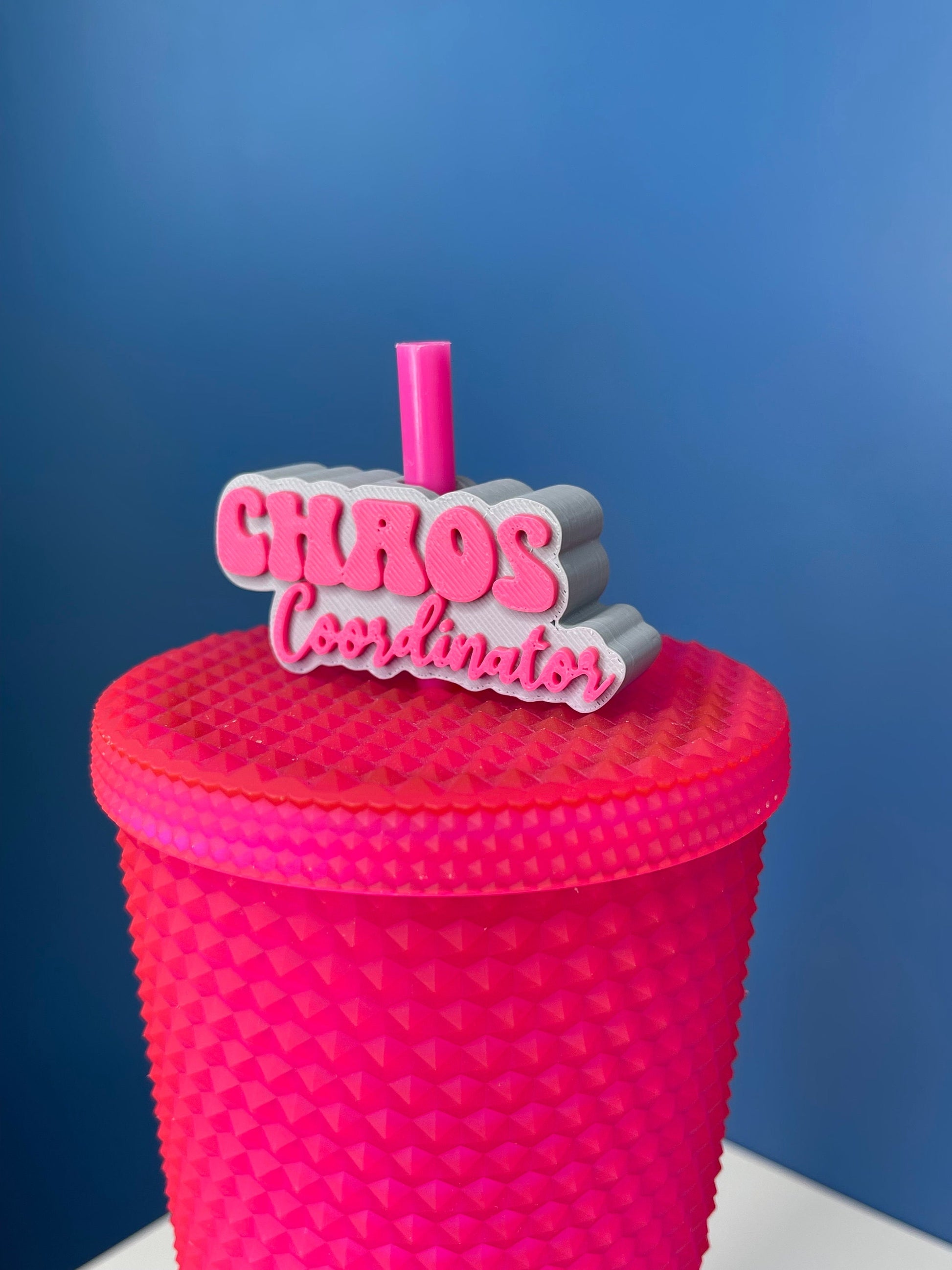 Chaos Coordinator Straw Topper | Cup Decorations | Straw Buddy | Mom Life