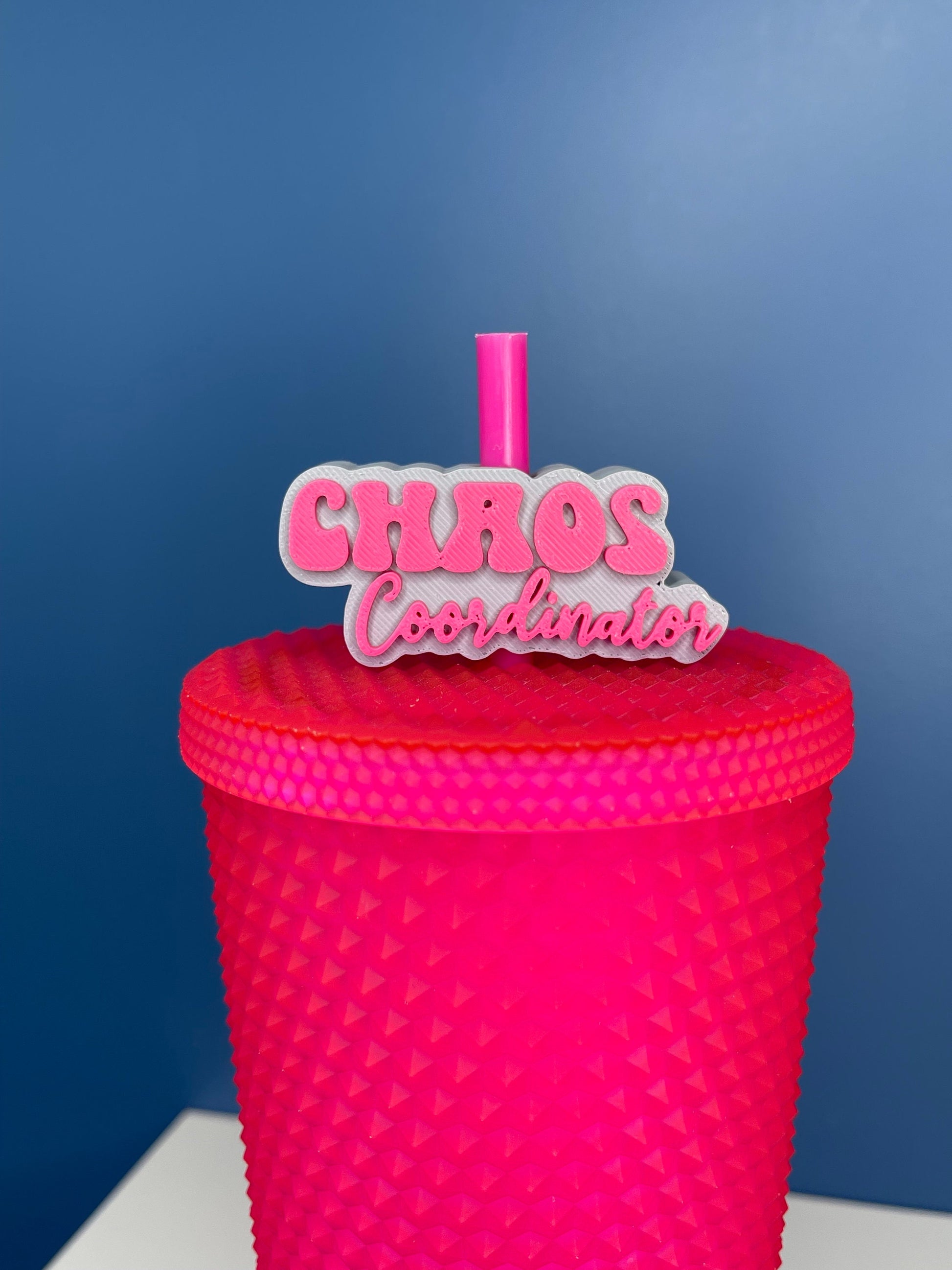 Chaos Coordinator Straw Topper | Cup Decorations | Straw Buddy | Mom Life