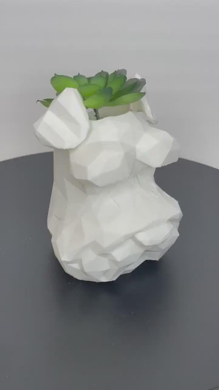 Schnauzer Planter, Dog Flower Pot, Succulents, Schnauzer Dog Pot