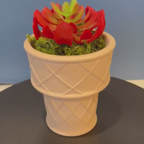 Ice Cream Cone Planter | Indoor Garden | Succulent Plants | Food Planter