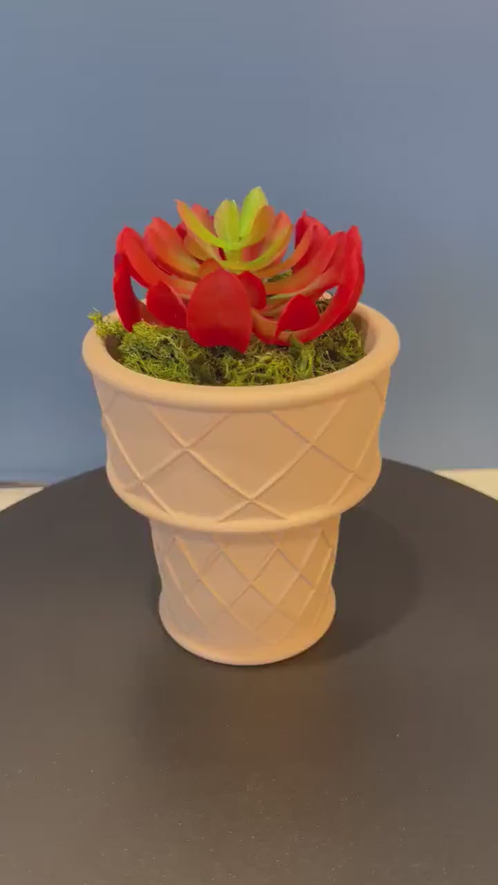 Ice Cream Cone Planter | Indoor Garden | Succulent Plants | Food Planter