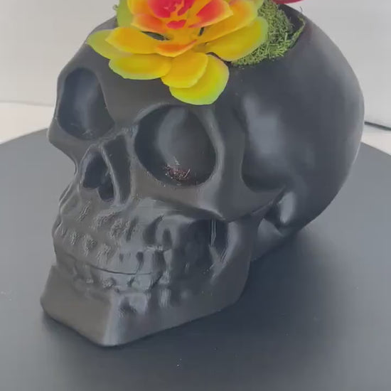 Succulent Skull Planter, Skull Head Pot, Skull Planter Pot