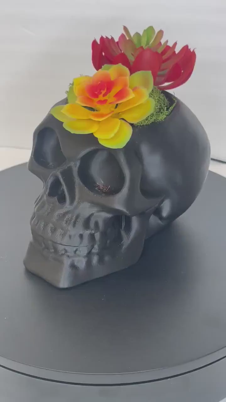 Succulent Skull Planter, Skull Head Pot, Skull Planter Pot