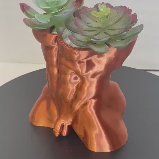 NSFW, Male Torso Planter, Cock Pot, Nude Torso Planter, Penis Planter, Dick Plant Pots