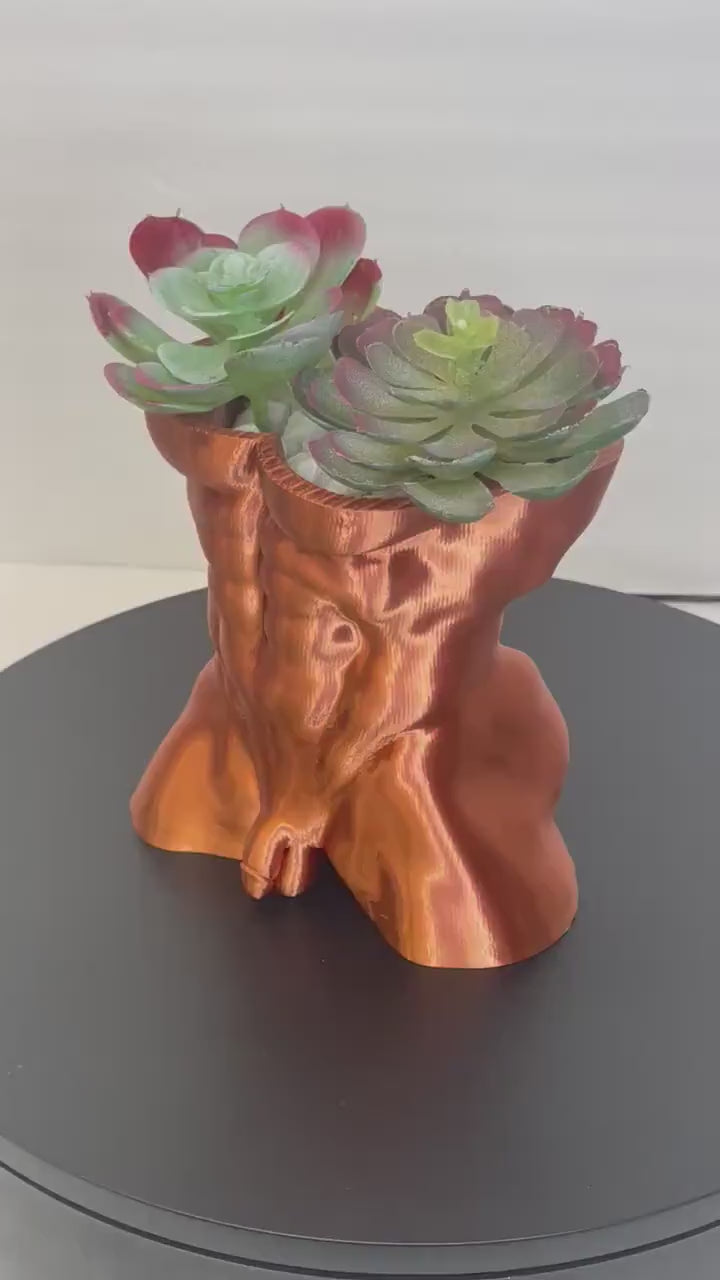 NSFW, Male Torso Planter, Cock Pot, Nude Torso Planter, Penis Planter, Dick Plant Pots