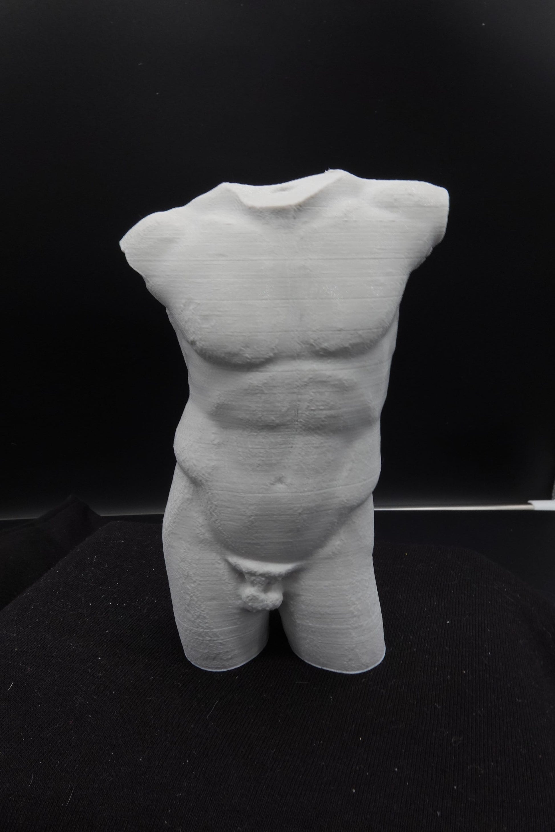 Male Torso Sculpture, Naked Male Statuette, Nude Male Body Figurine, Male Body