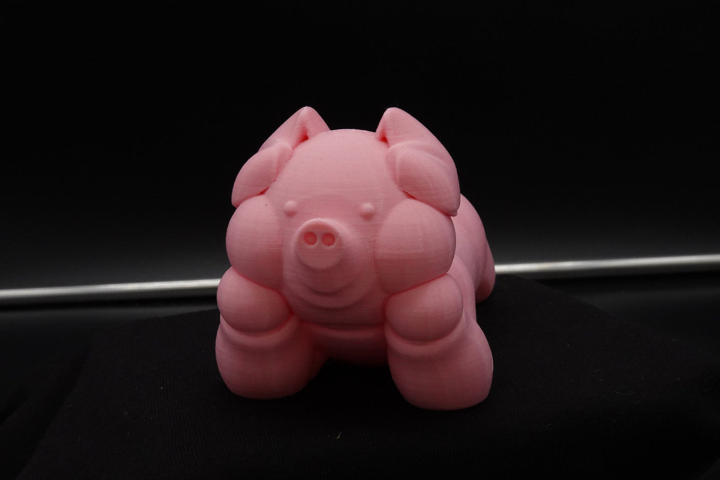 Cute Pig, Chubby Pig, Gag Gift, Funny Gifts