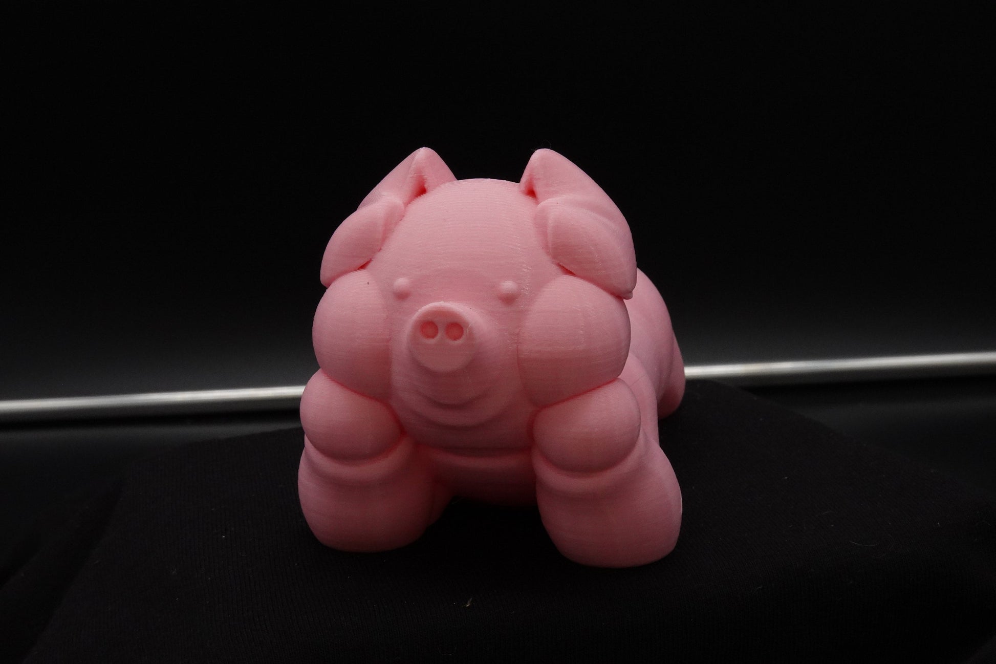 Cute Pig, Chubby Pig, Gag Gift, Funny Gifts