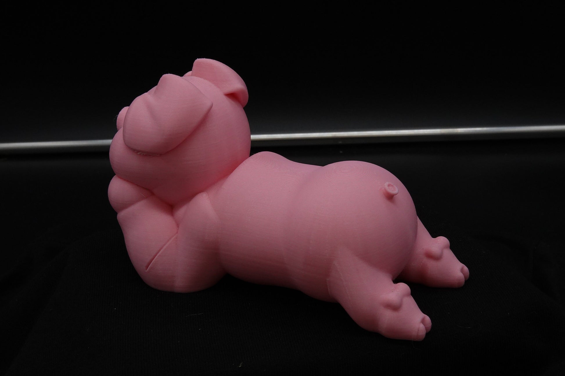 Cute Pig, Chubby Pig, Gag Gift, Funny Gifts