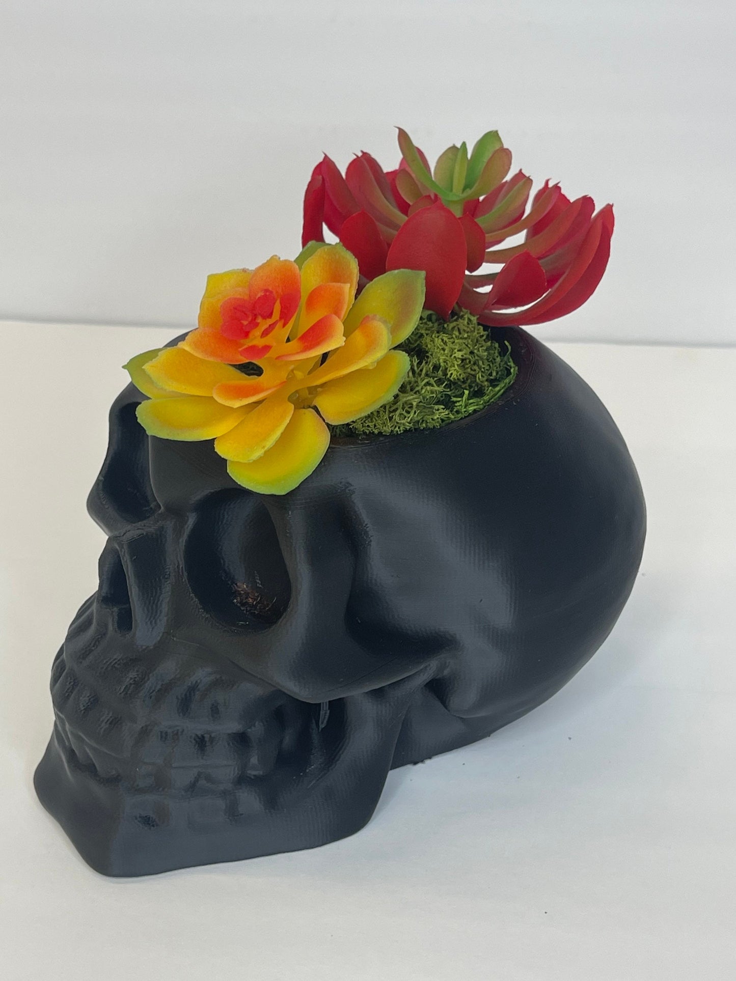 Succulent Skull Planter, Skull Head Pot, Skull Planter Pot