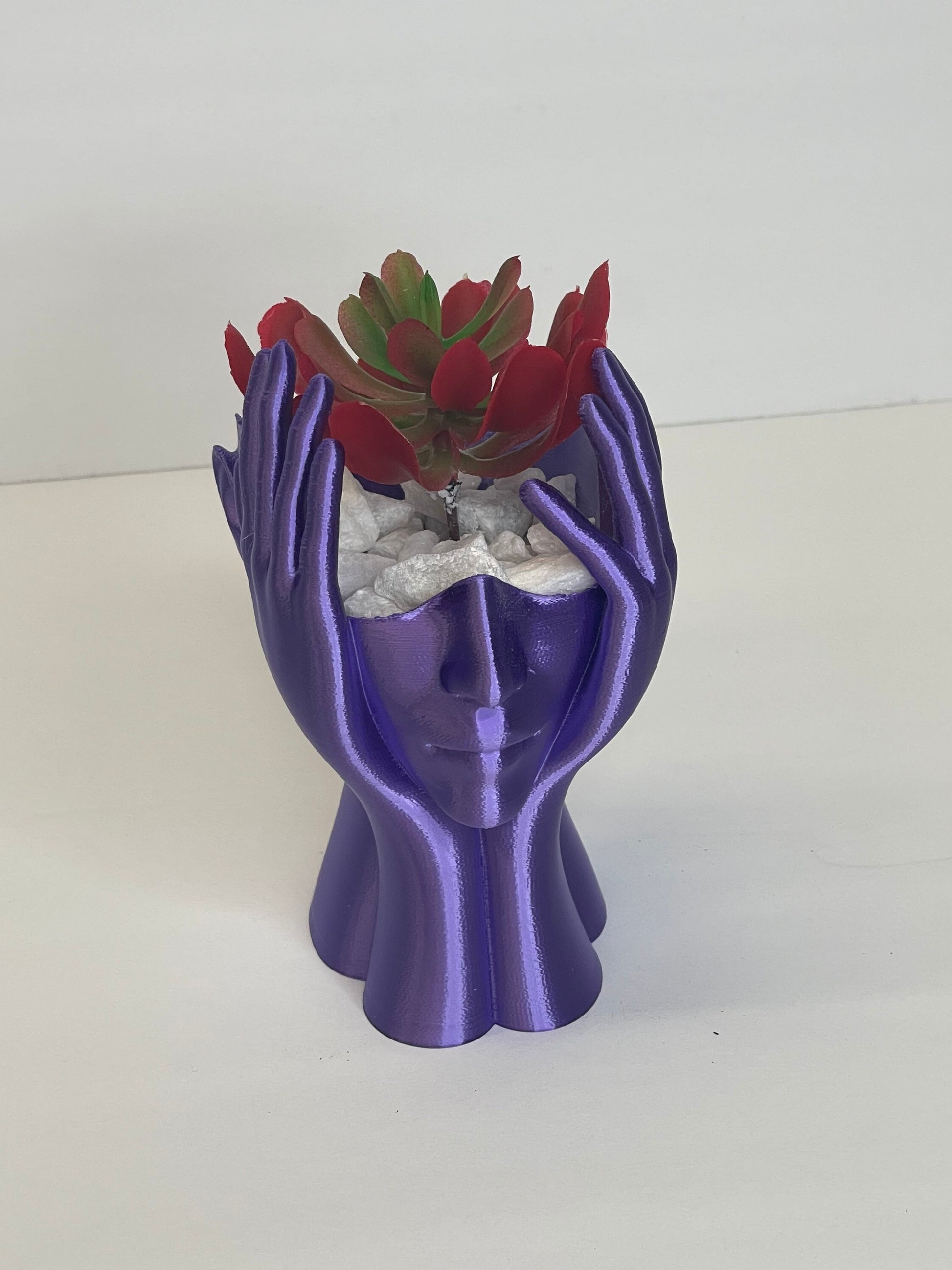 Hands on Face Succulent Planter, Head Face Planter, Face Pot, Head Planters