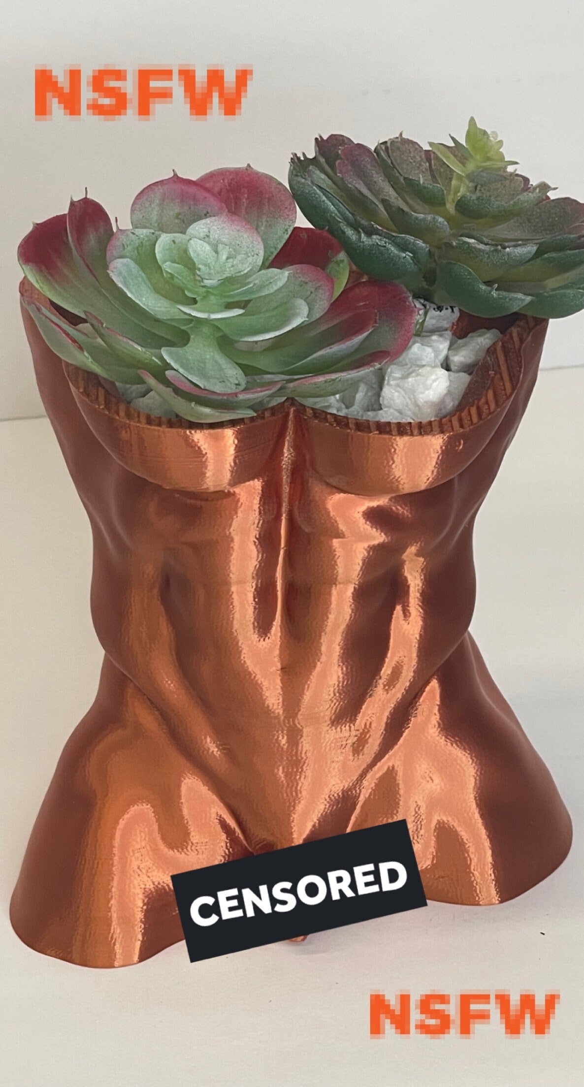 NSFW, Male Torso Planter, Cock Pot, Nude Torso Planter, Penis Planter, Dick Plant Pots