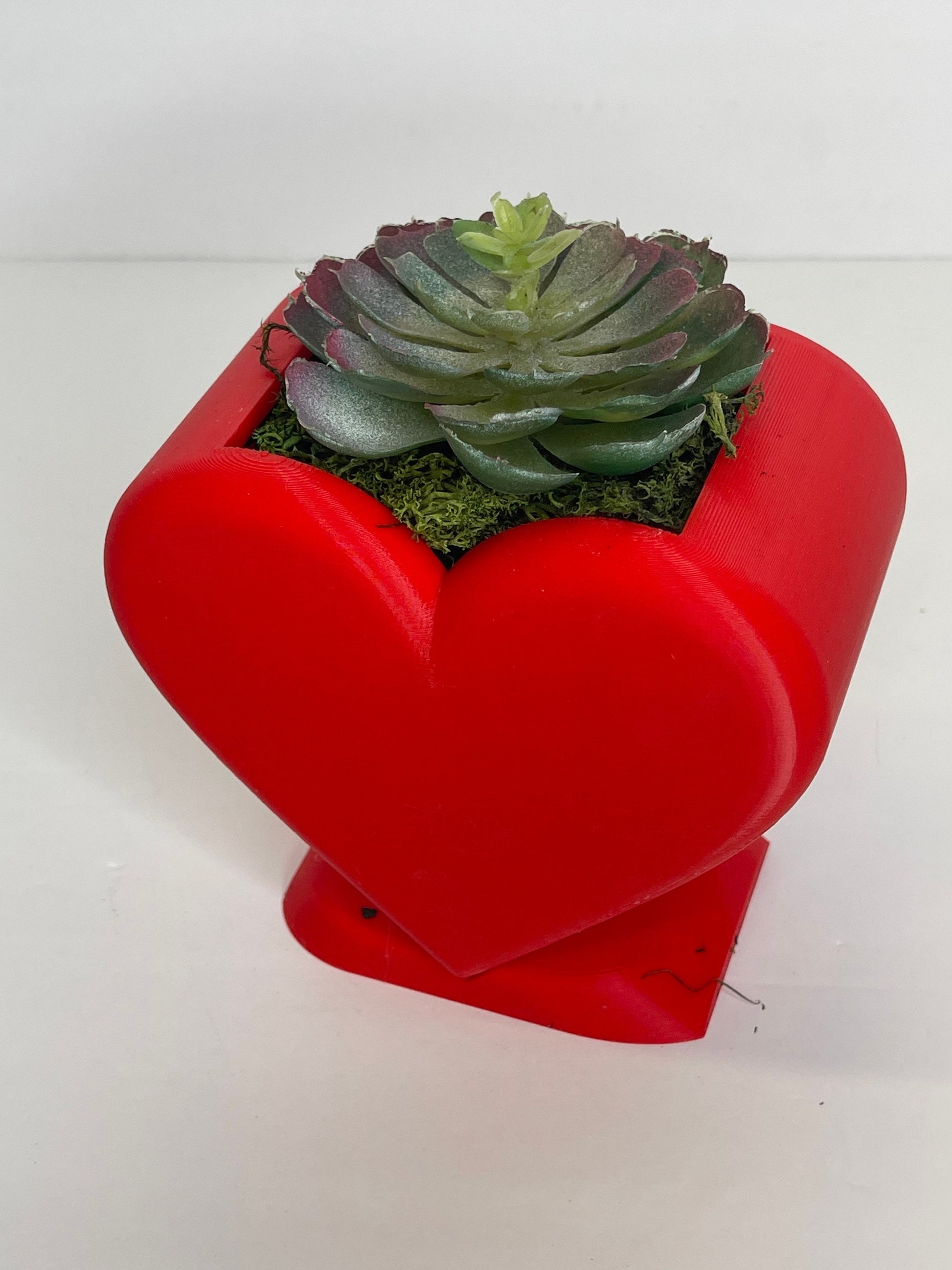 Heart Succulent Planter, Pots for Plants, Heart Flower Vase