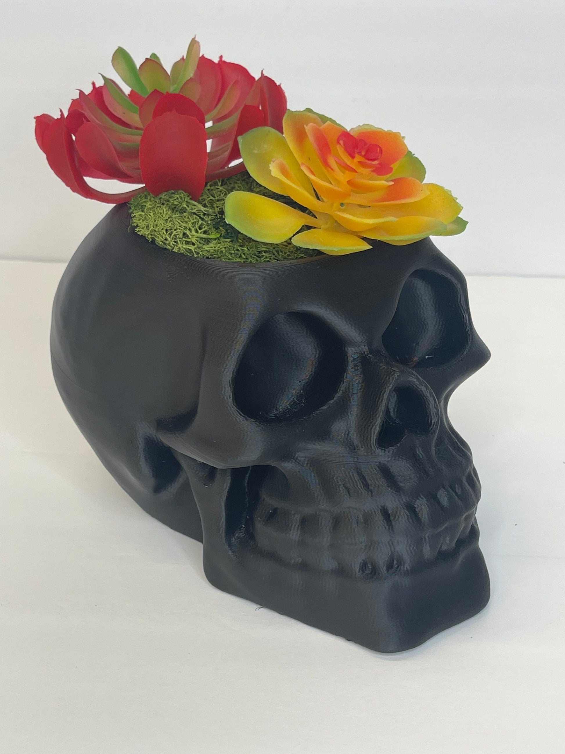 Succulent Skull Planter, Skull Head Pot, Skull Planter Pot