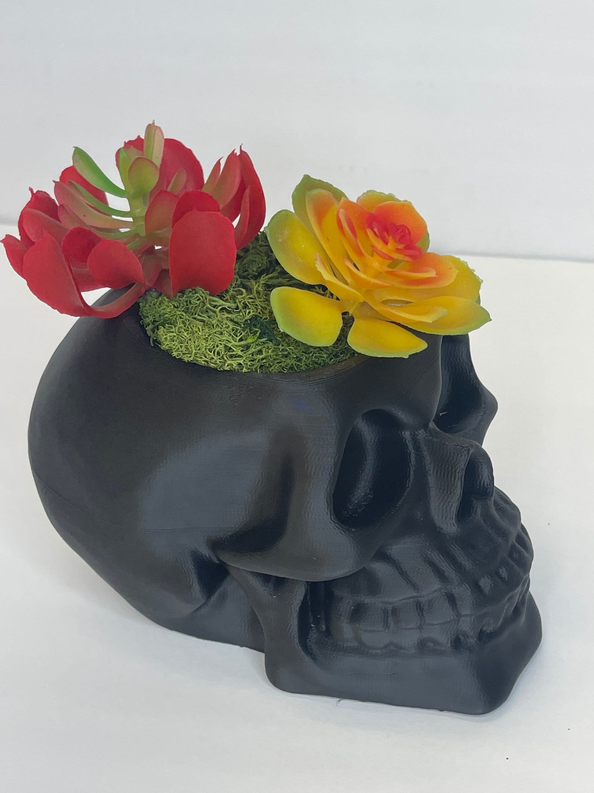 Succulent Skull Planter, Skull Head Pot, Skull Planter Pot