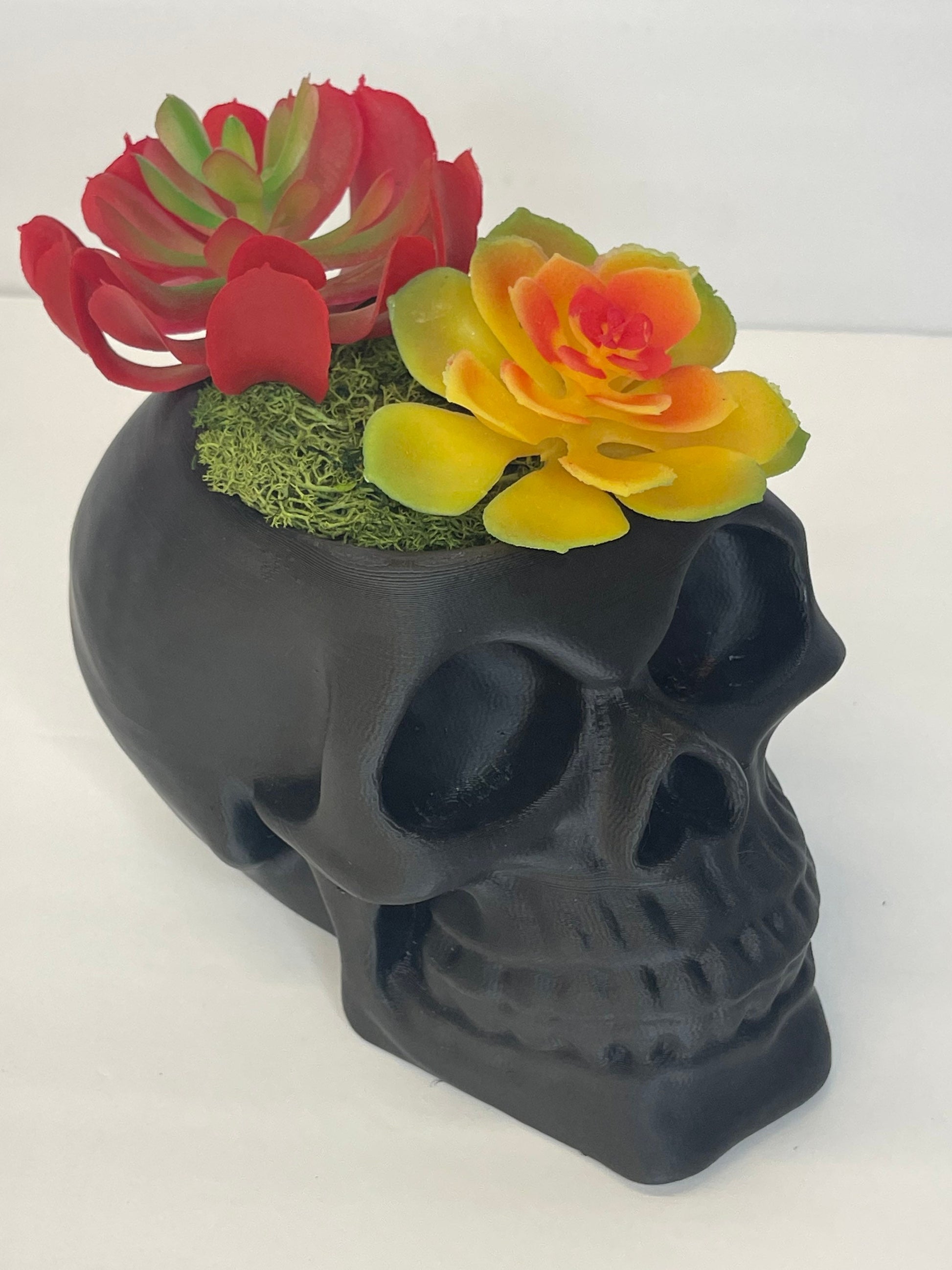 Succulent Skull Planter, Skull Head Pot, Skull Planter Pot