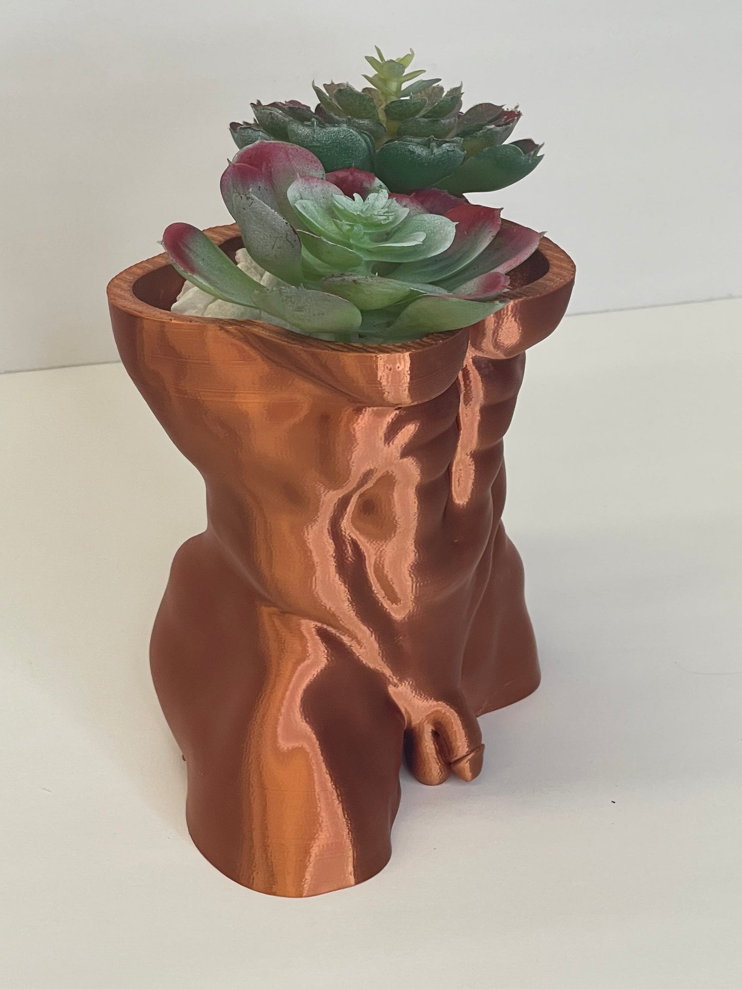 NSFW, Male Torso Planter, Cock Pot, Nude Torso Planter, Penis Planter, Dick Plant Pots