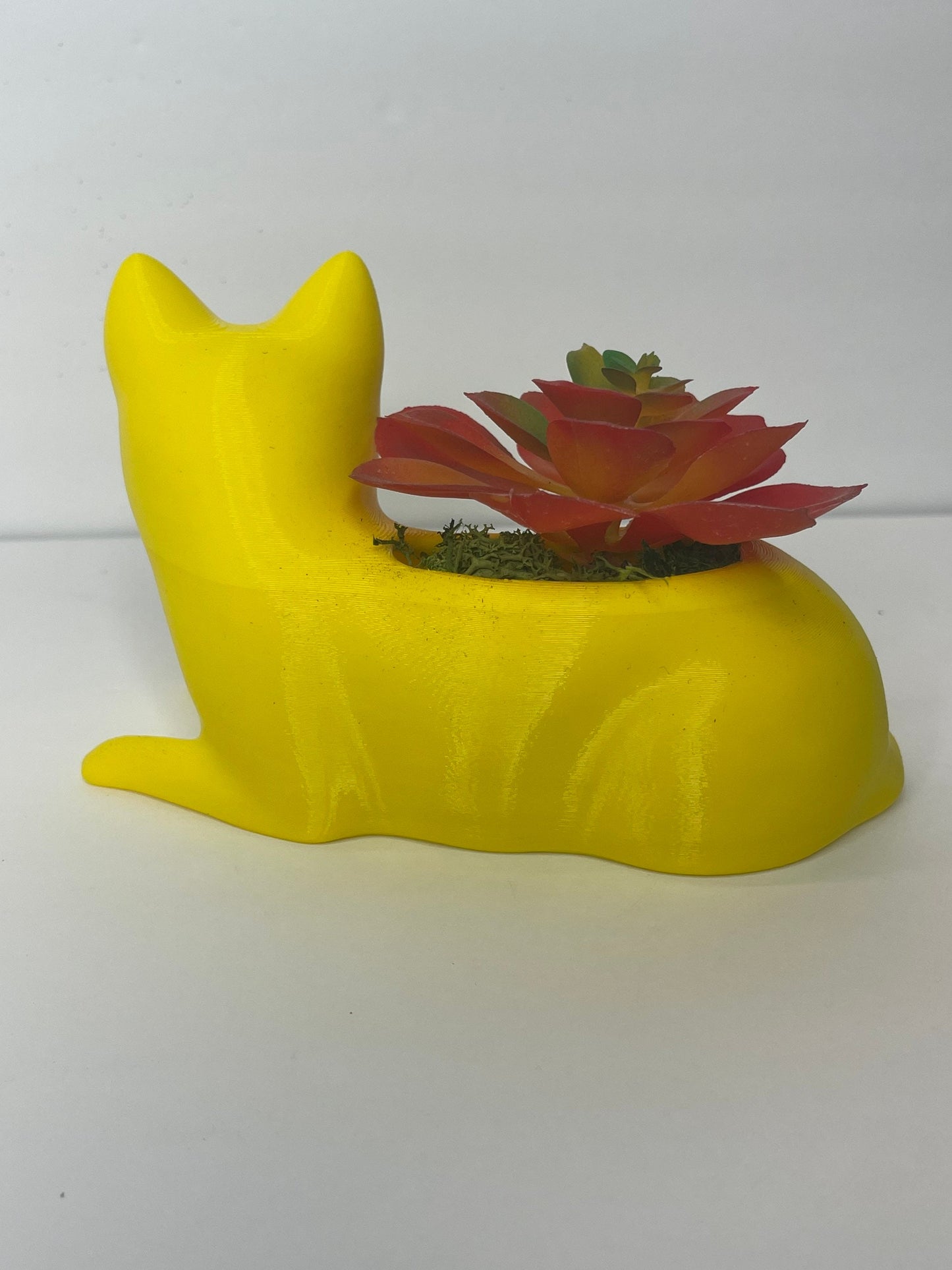 Cat Planter, Cat with Plants, Cat For Desk, Cat Pot/Planters