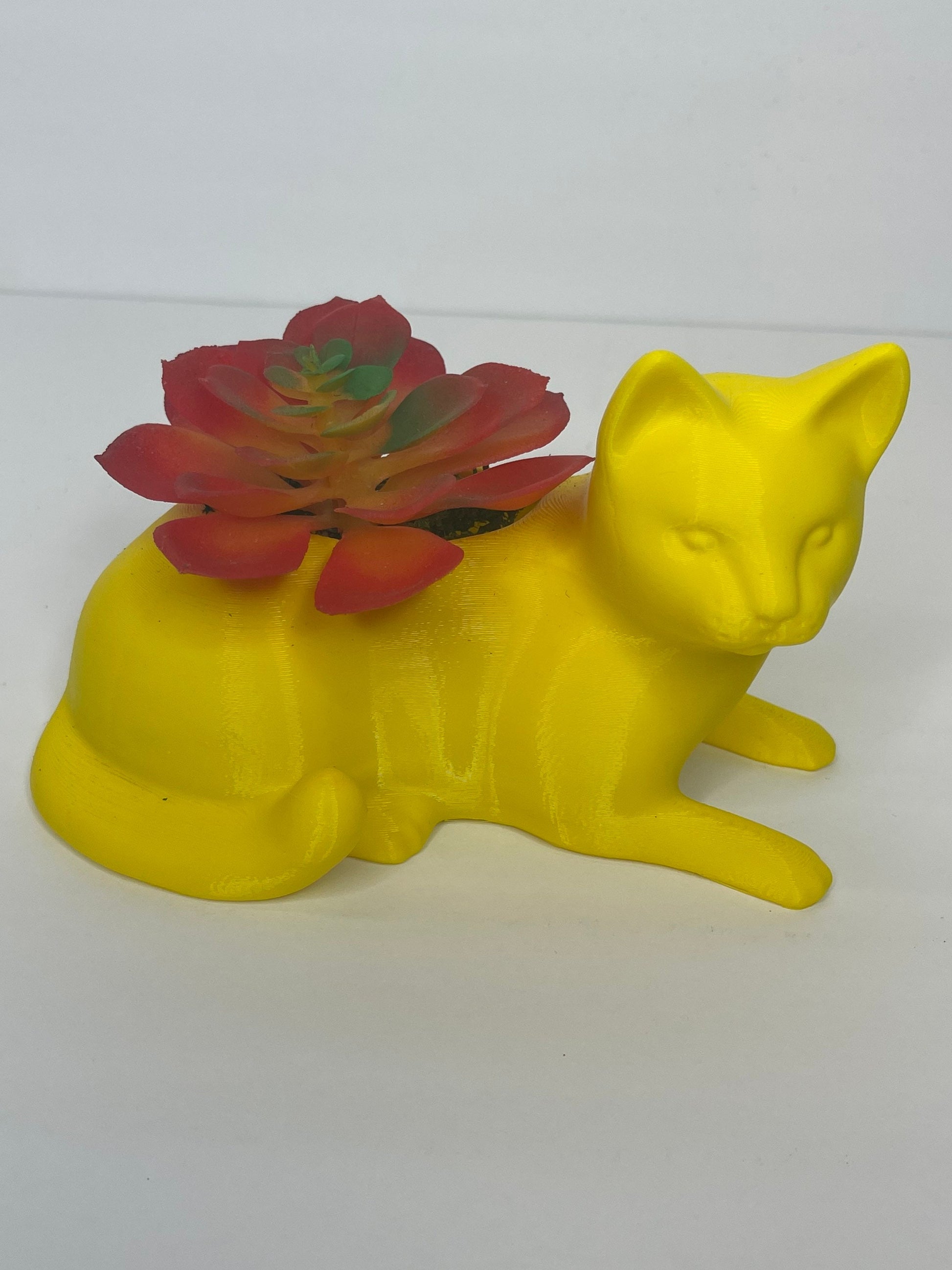 Cat Planter, Cat with Plants, Cat For Desk, Cat Pot/Planters