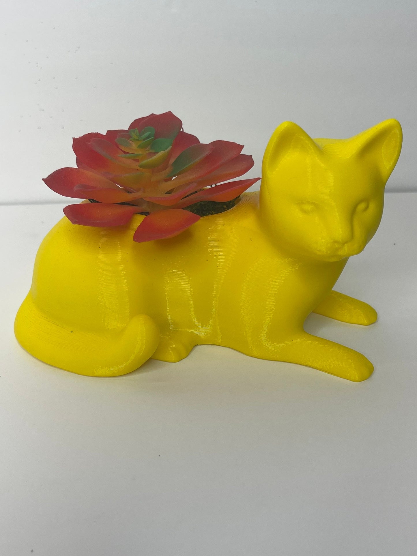 Cat Planter, Cat with Plants, Cat For Desk, Cat Pot/Planters