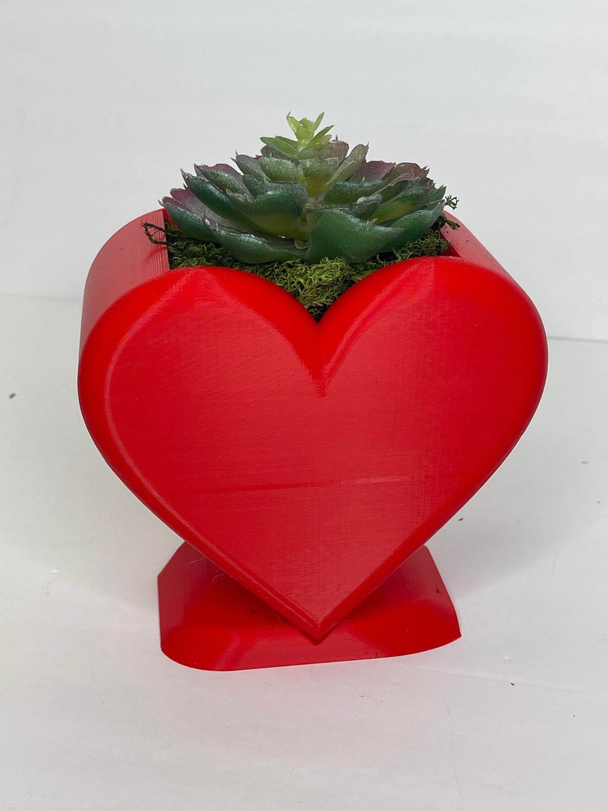 Heart Succulent Planter, Pots for Plants, Heart Flower Vase