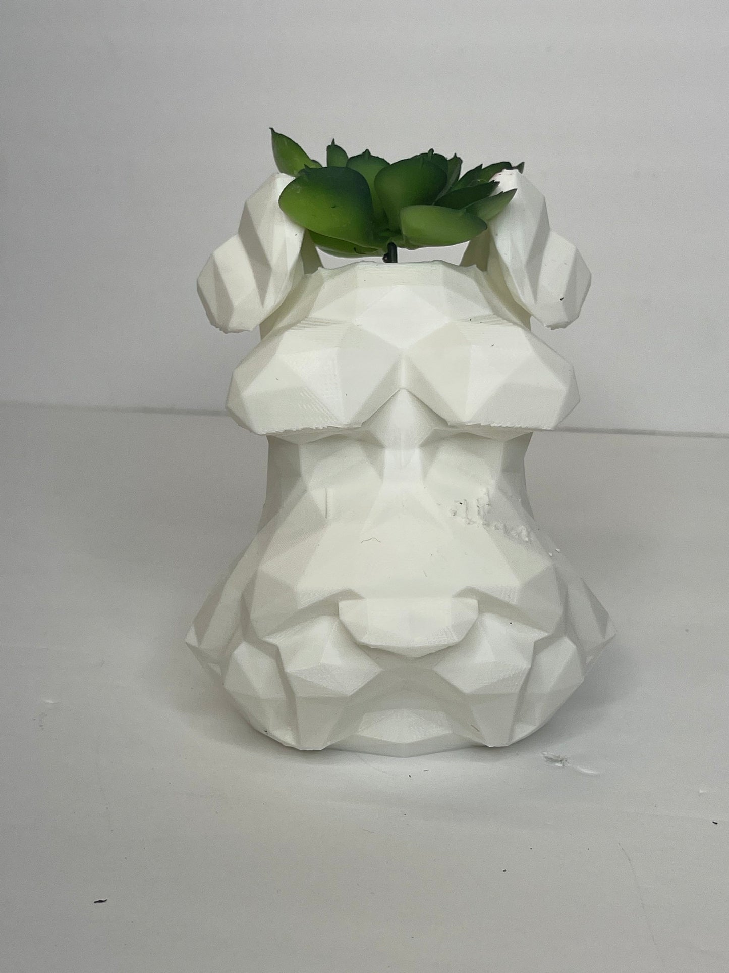 Schnauzer Planter, Dog Flower Pot, Succulents, Schnauzer Dog Pot