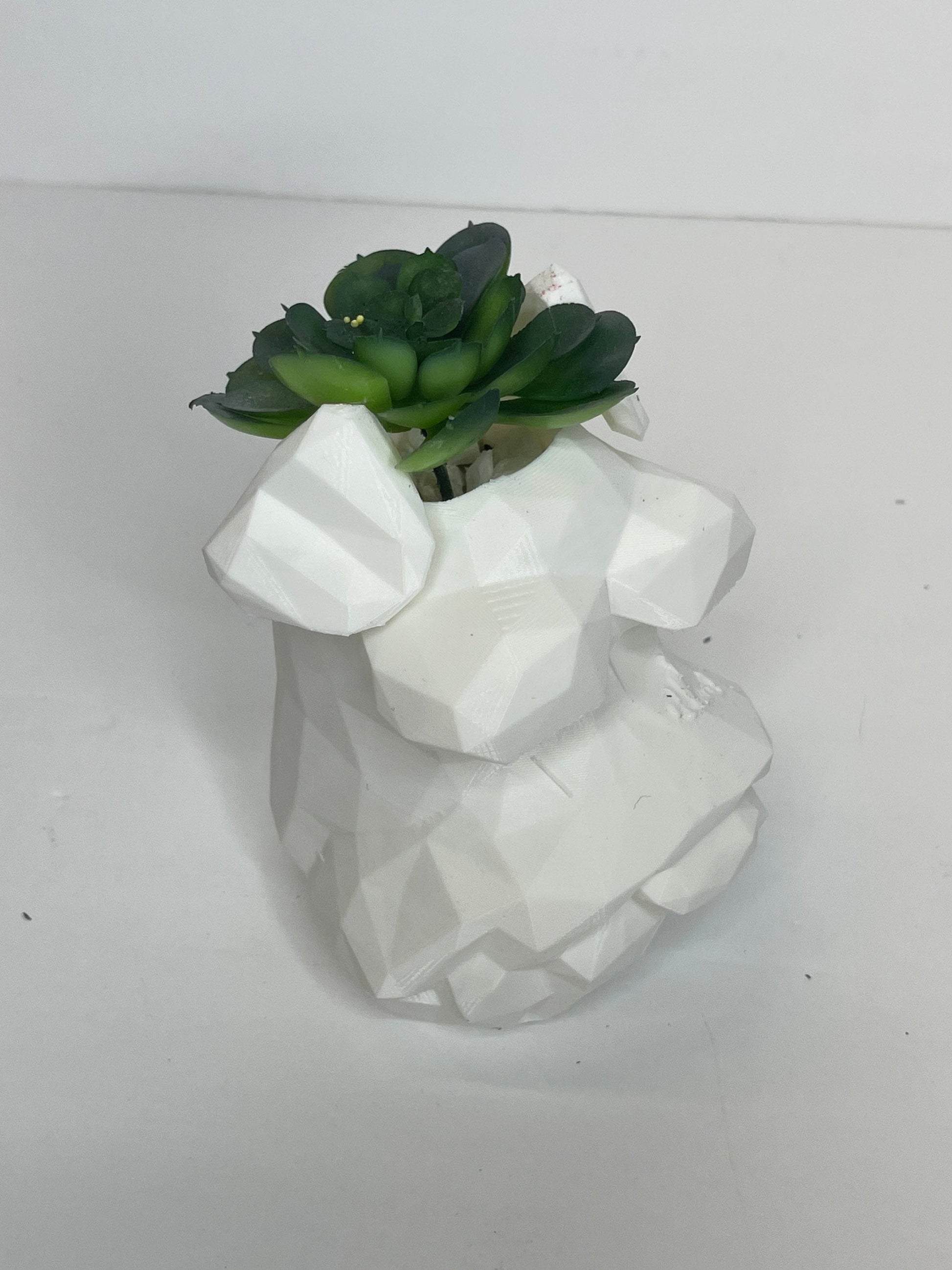 Schnauzer Planter, Dog Flower Pot, Succulents, Schnauzer Dog Pot