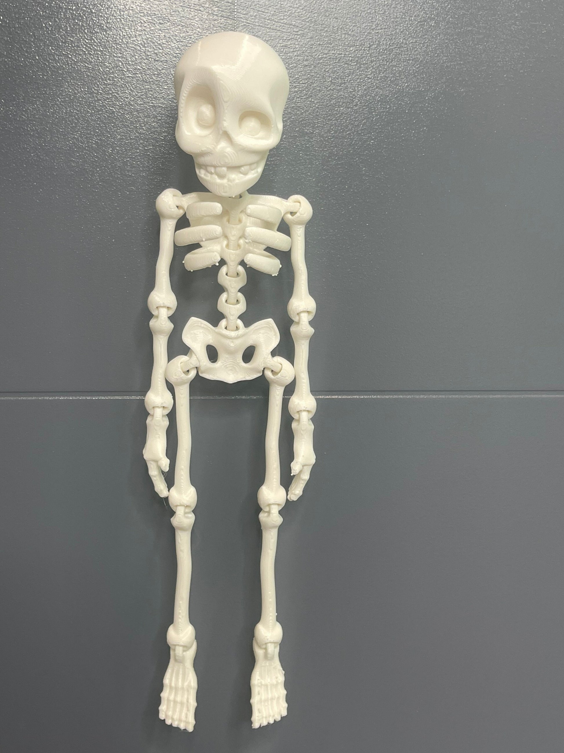 Articulated Skeleton, Halloween Decor, Fidget Toys, Sensory Toys, Gag Gift