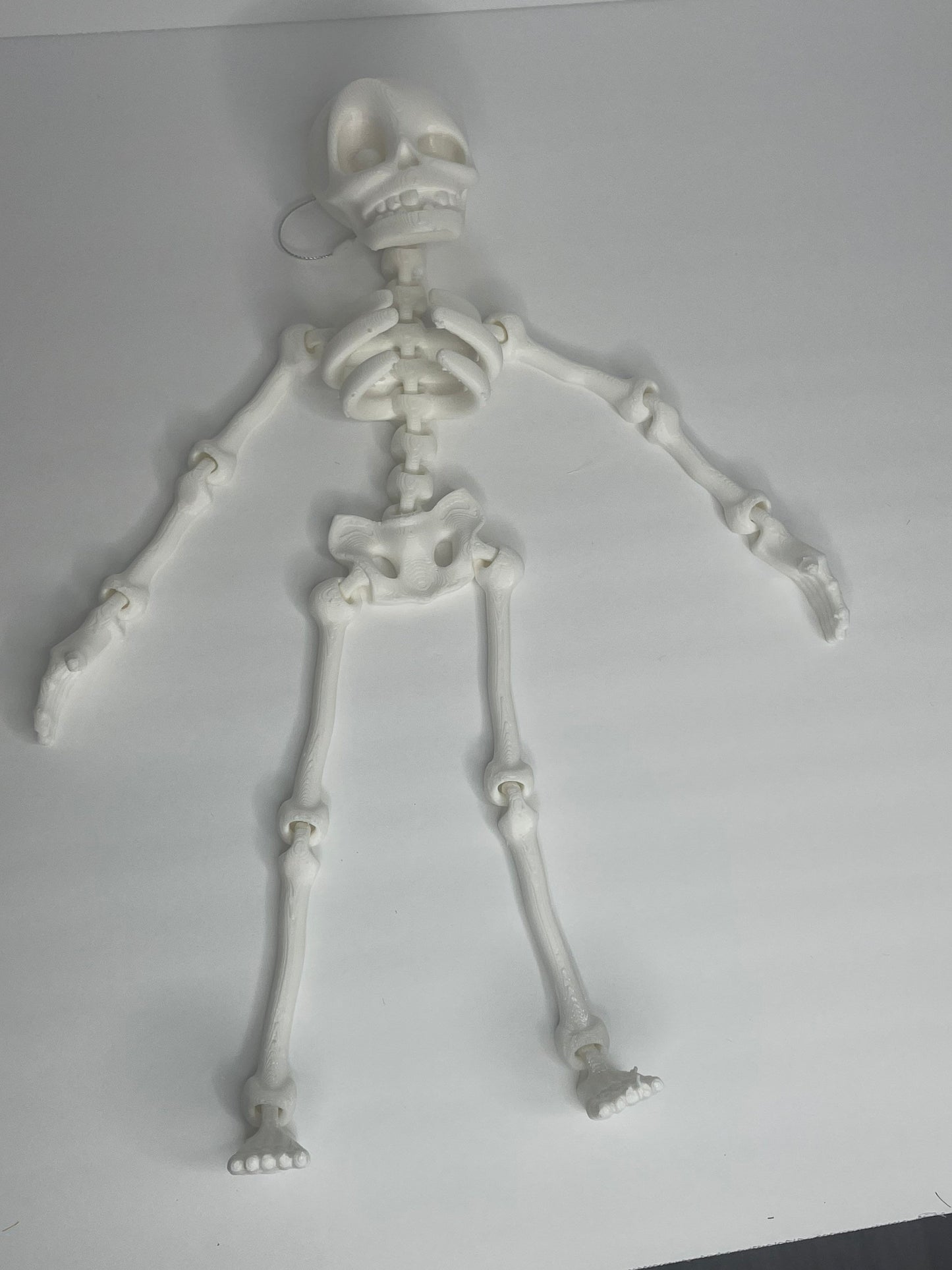 Articulated Skeleton, Halloween Decor, Fidget Toys, Sensory Toys, Gag Gift