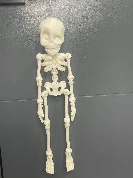 Articulated Skeleton, Halloween Decor, Fidget Toys, Sensory Toys, Gag Gift