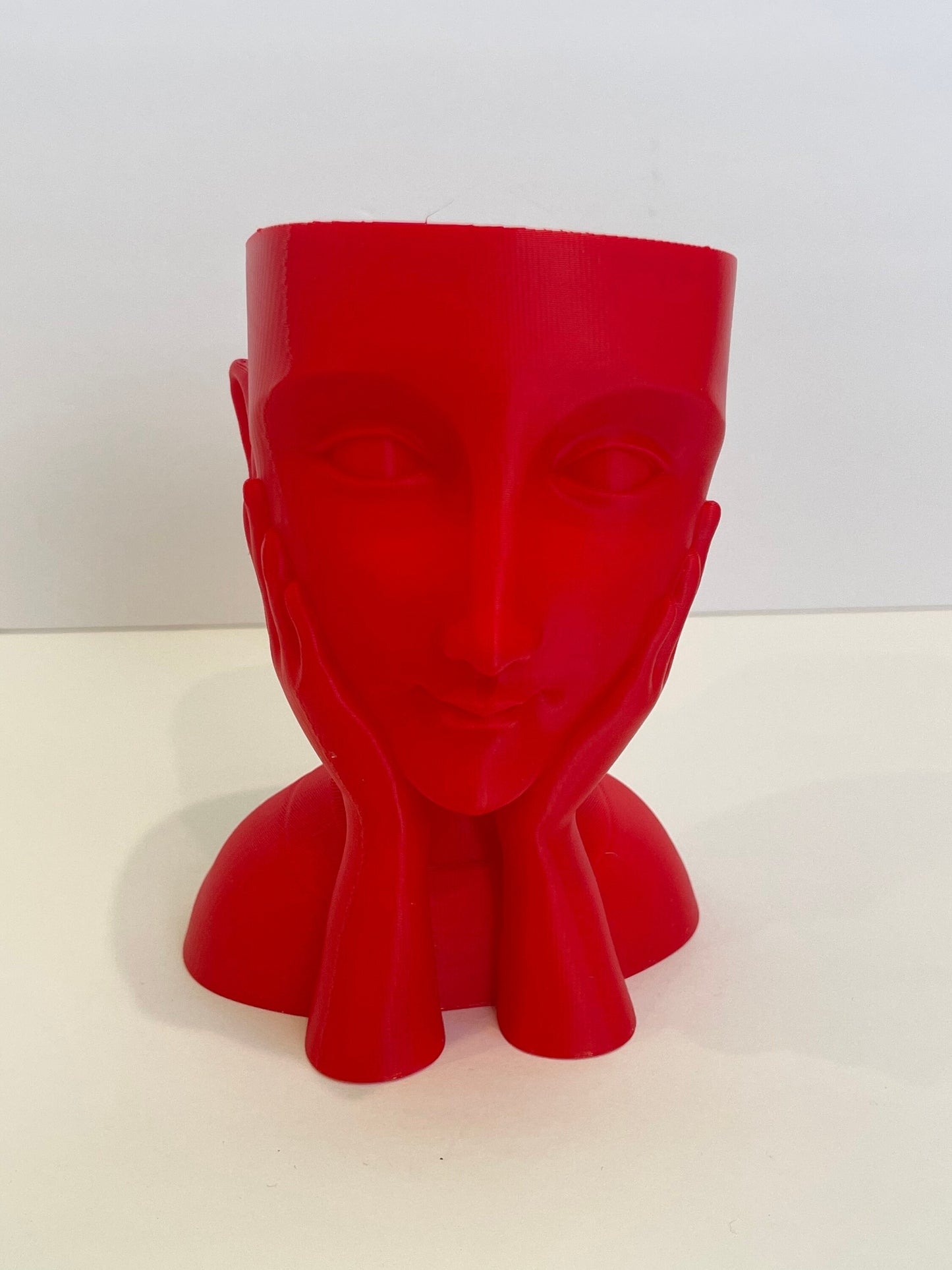 Face Planter Flowerpot, Bust Vase, Head Vase Planter, Pots for Plants,