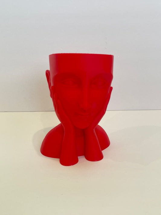 Face Planter Flowerpot, Bust Vase, Head Vase Planter, Pots for Plants,
