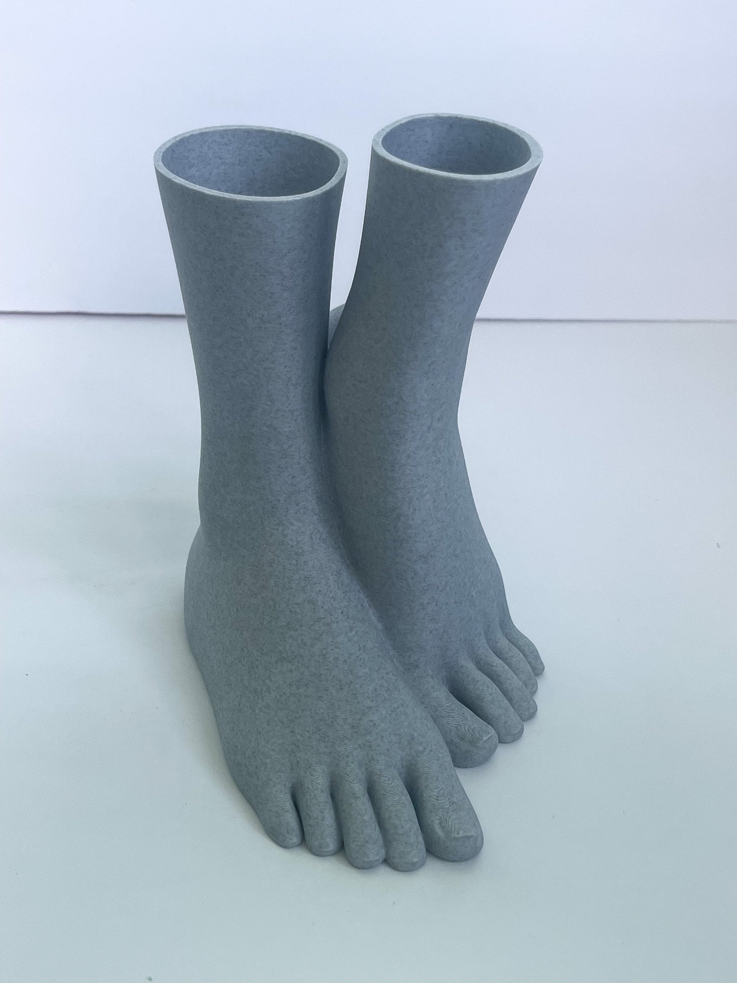 Feet Vase, Dried Flowers, Foot Planter, Feet