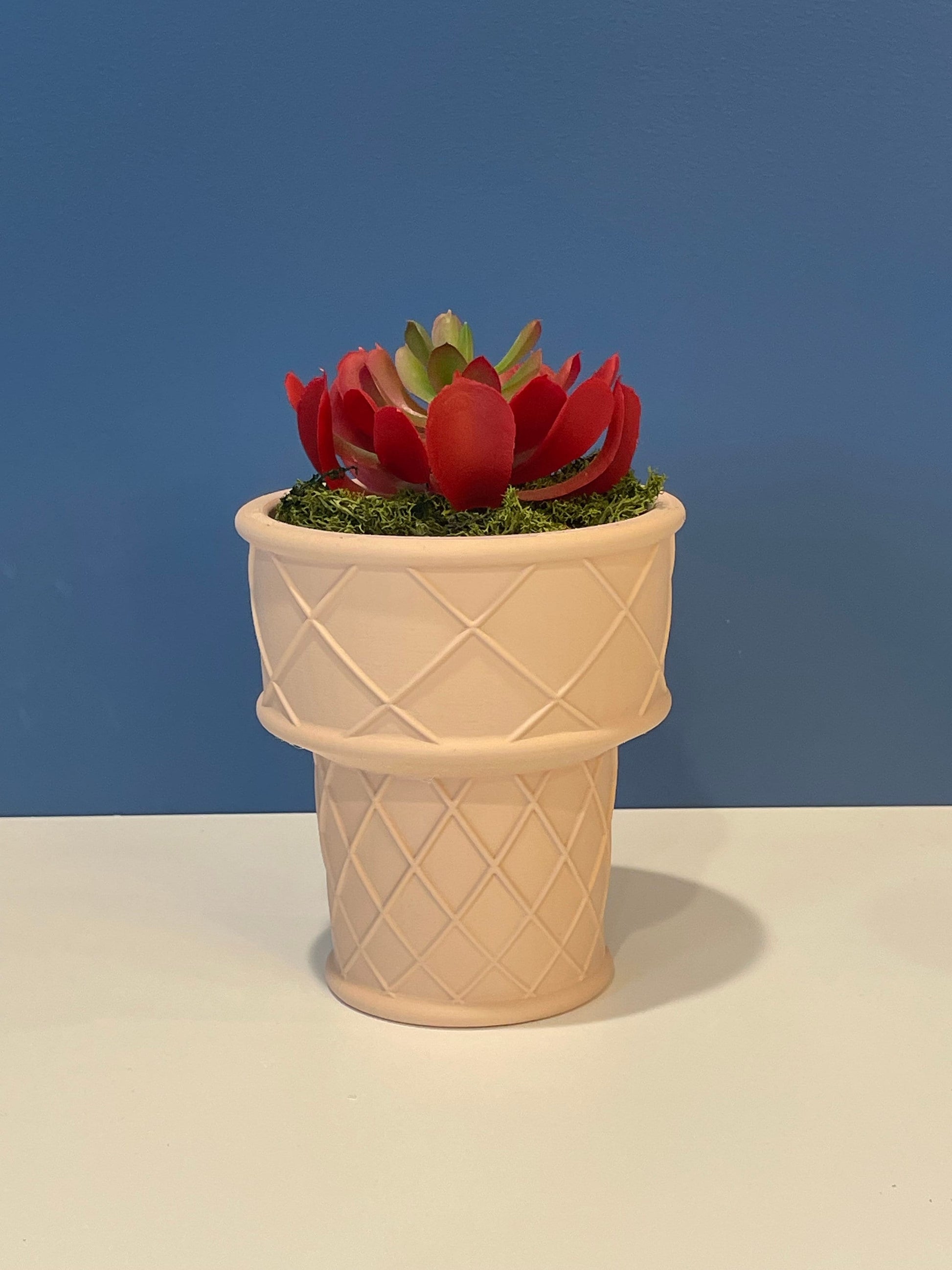 Ice Cream Cone Planter | Indoor Garden | Succulent Plants | Food Planter