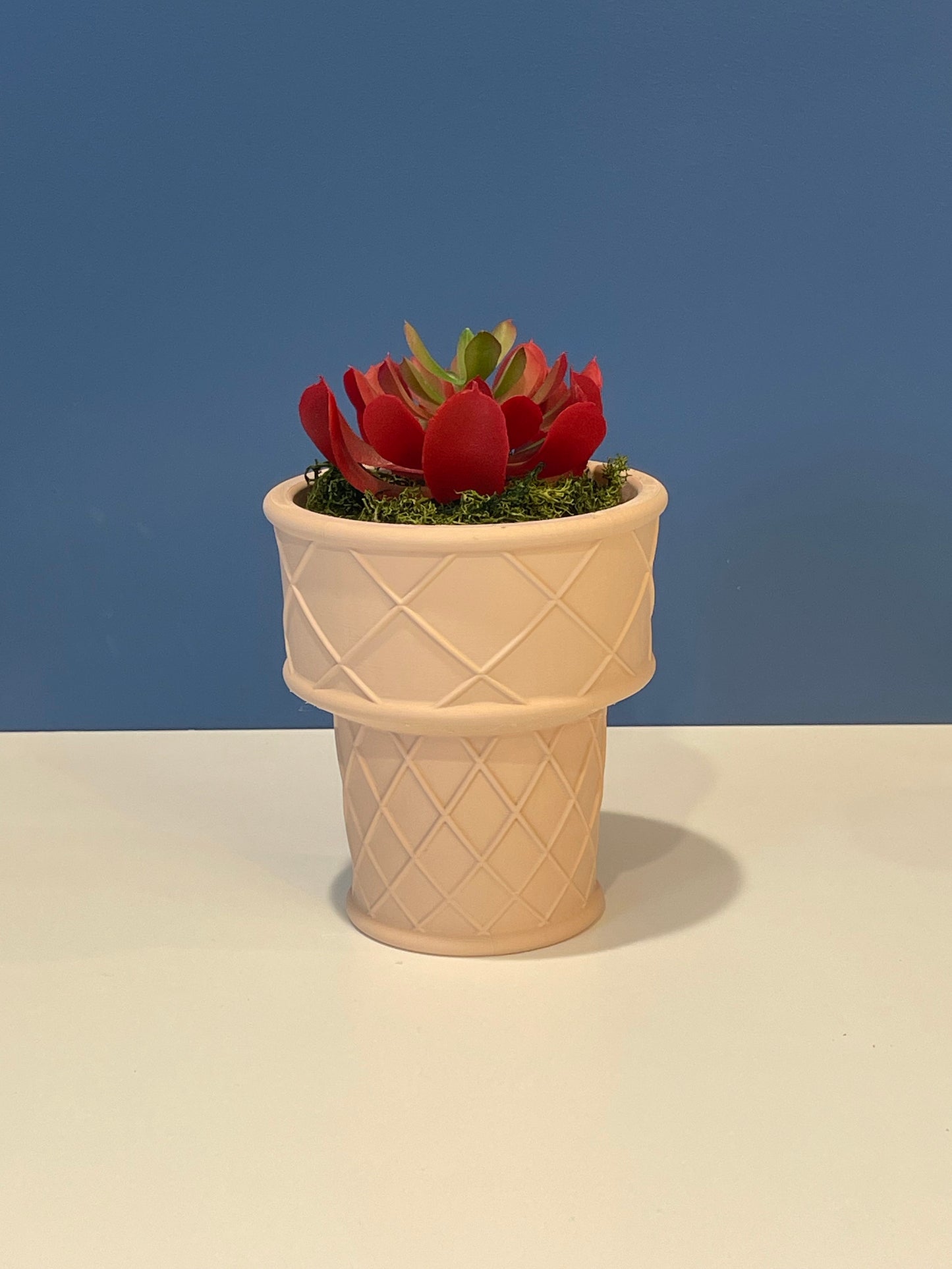 Ice Cream Cone Planter | Indoor Garden | Succulent Plants | Food Planter