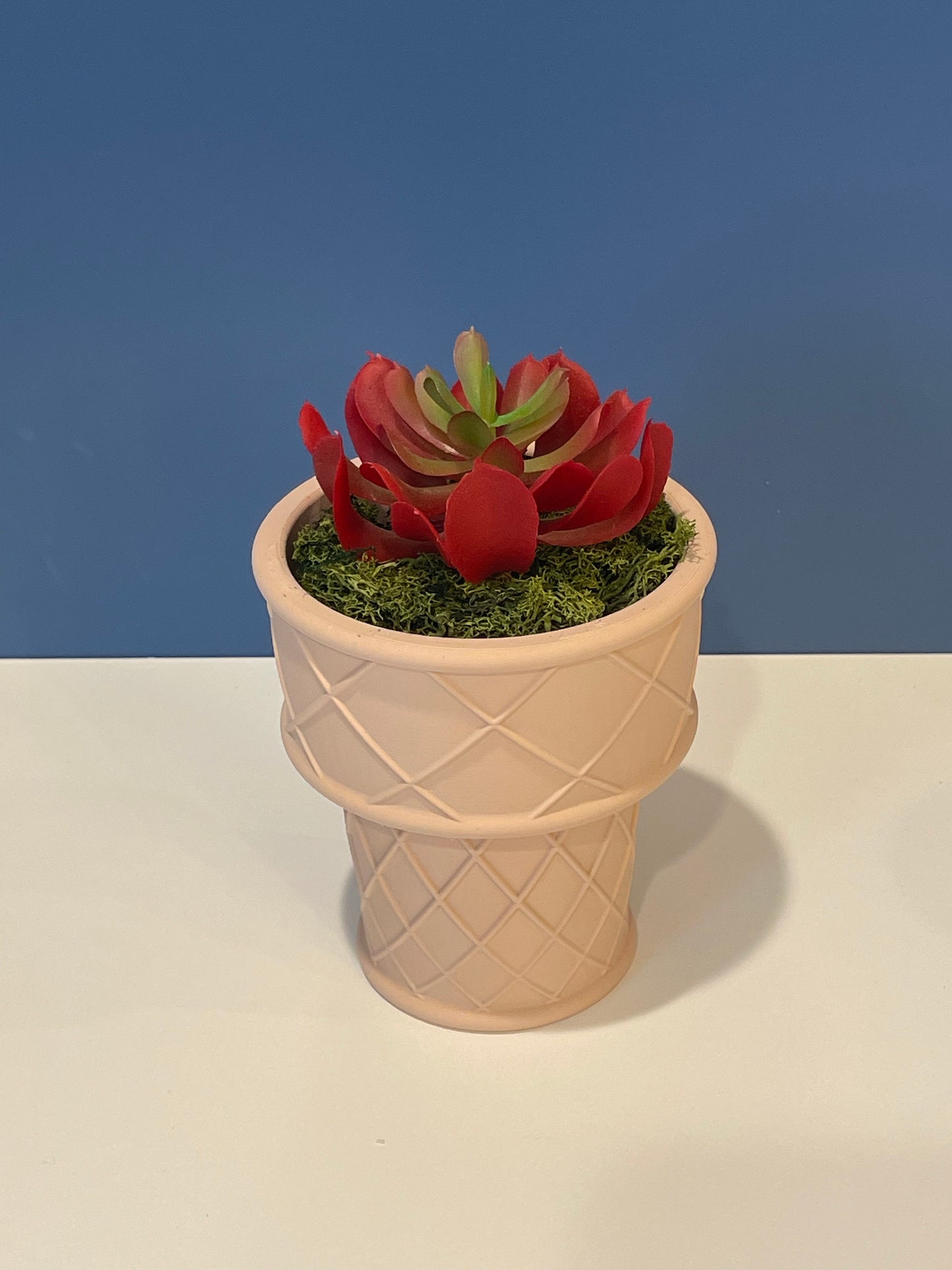 Ice Cream Cone Planter | Indoor Garden | Succulent Plants | Food Planter