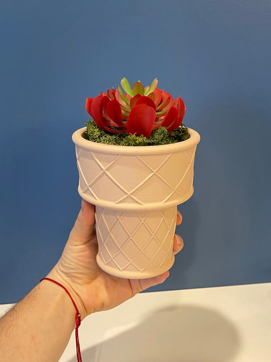 Ice Cream Cone Planter | Indoor Garden | Succulent Plants | Food Planter