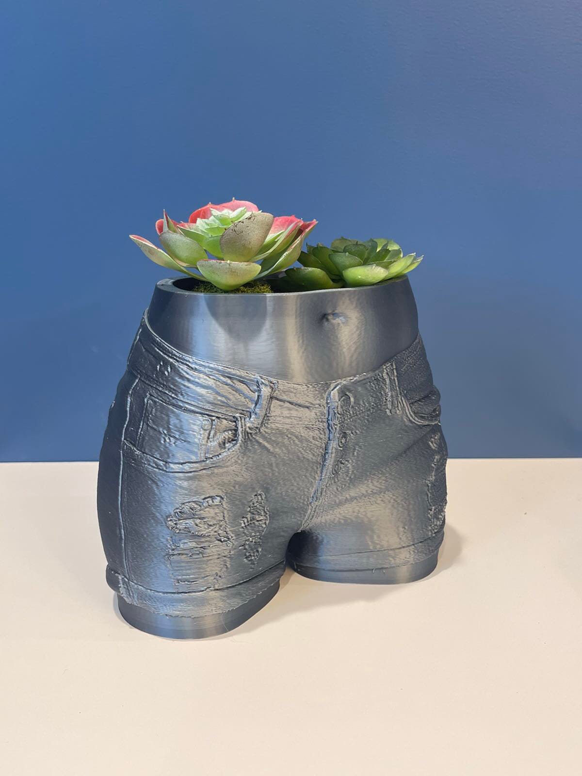 Butt Planter | Denim Shorts | Succulent Planter | Body Planter | Booty Pot | Plant Gifts