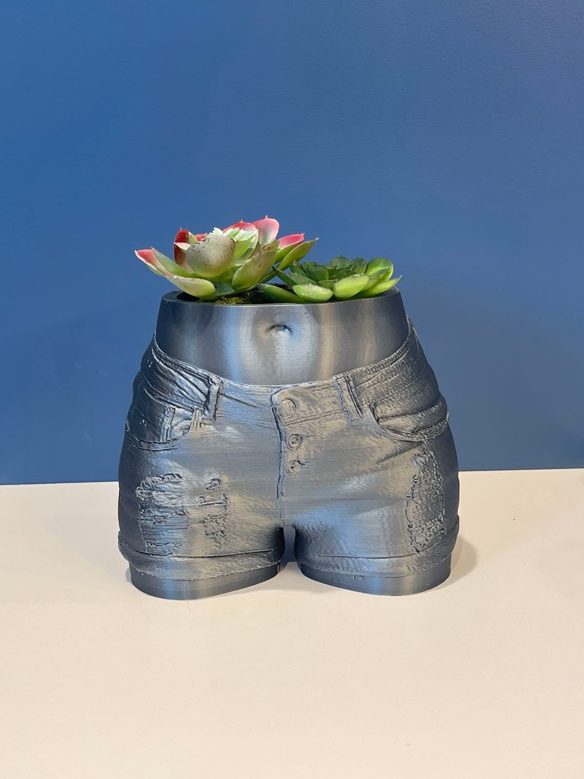 Butt Planter | Denim Shorts | Succulent Planter | Body Planter | Booty Pot | Plant Gifts