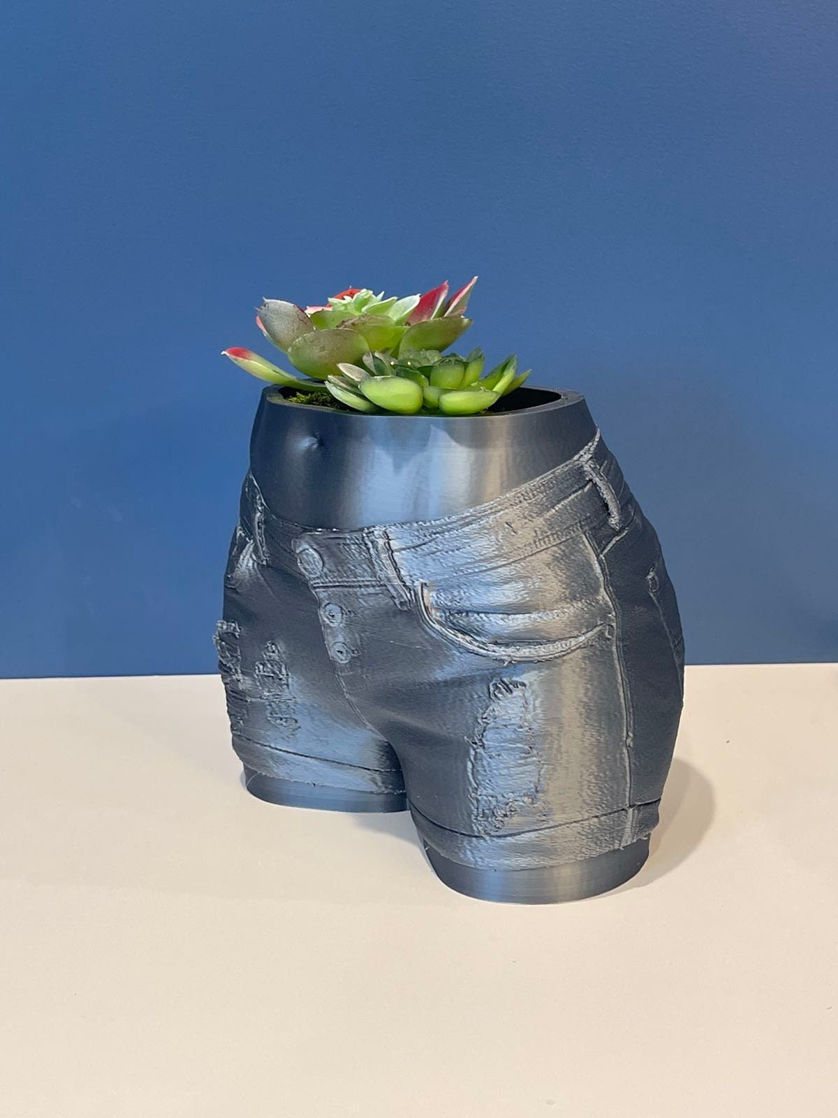 Butt Planter | Denim Shorts | Succulent Planter | Body Planter | Booty Pot | Plant Gifts