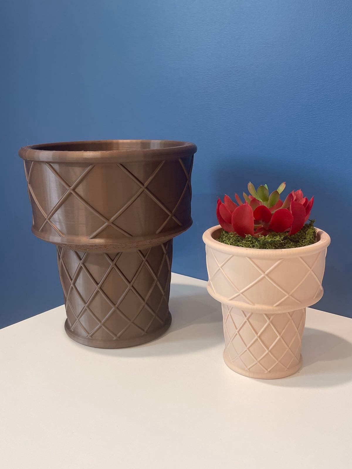 Ice Cream Cone Planter | Indoor Garden | Succulent Plants | Food Planter